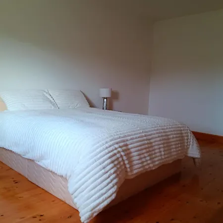 Global Ireland Habitación en casa particular