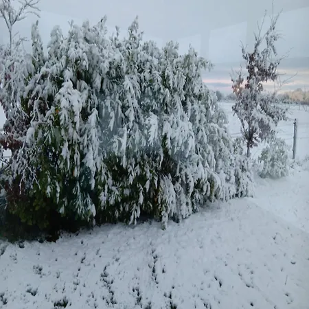 Global Guest Ireland *