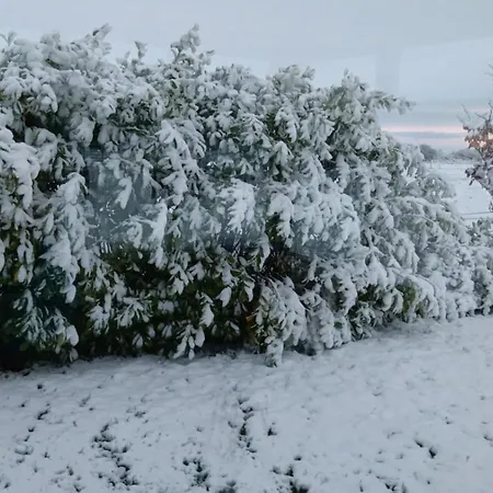 Global Guest Ireland *