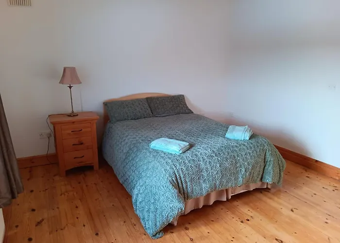 Global Guest Ireland 民宿 *