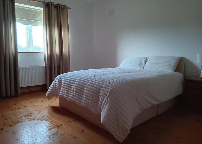 民宿 Global Guest Ireland 威廉斯敦