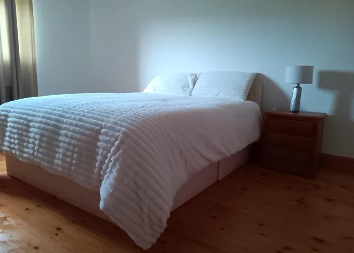 民宿 Global Guest Ireland