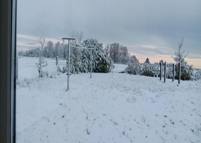 Global Guest Ireland