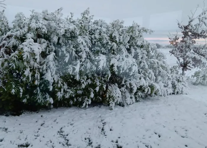 Global Guest Ireland *